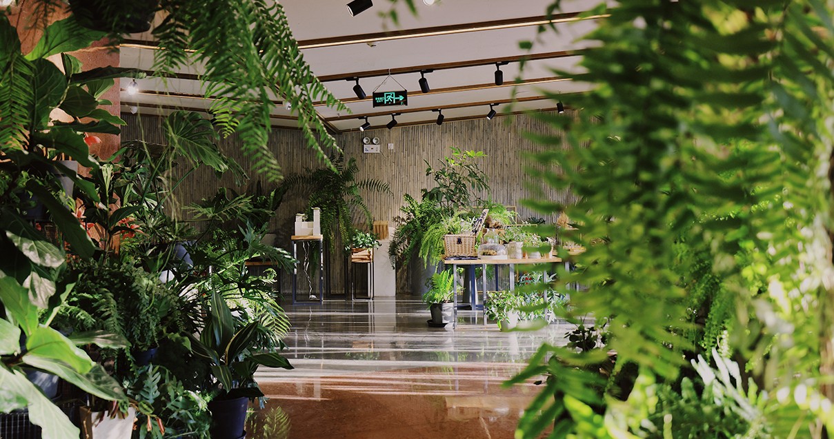 南宫NG28奥莱·滇池幼镇