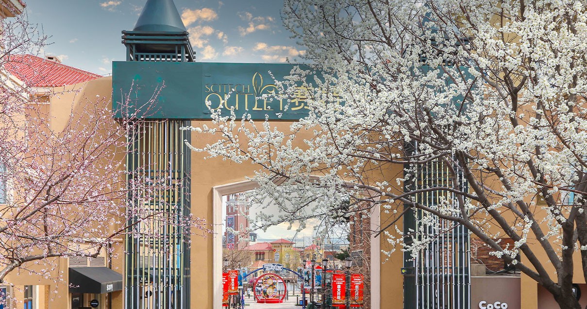 南宫NG28奥莱·棋盘山幼镇