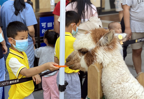 首页- 南宫NG28集团娱乐官方网站