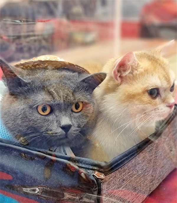 首页- 南宫NG28集团娱乐官方网站