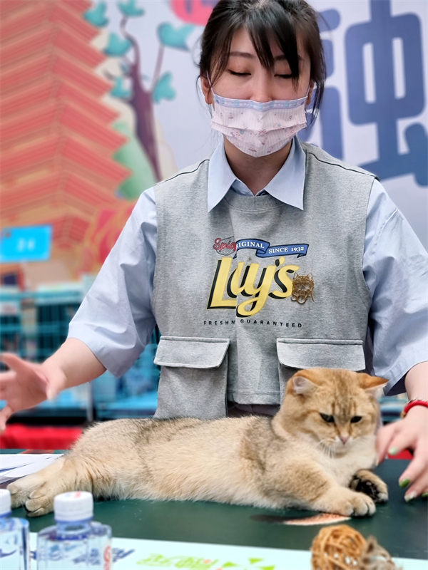 首页- 南宫NG28集团娱乐官方网站