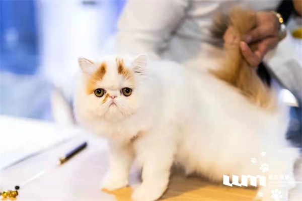 首页- 南宫NG28集团娱乐官方网站