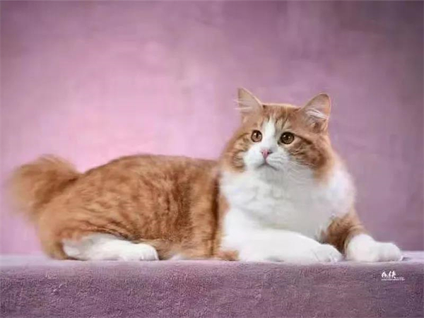 首页- 南宫NG28集团娱乐官方网站