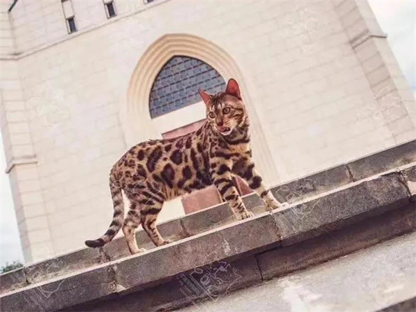 首页- 南宫NG28集团娱乐官方网站