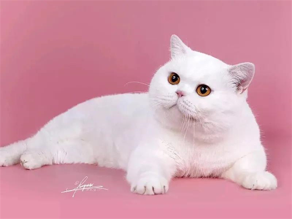 首页- 南宫NG28集团娱乐官方网站