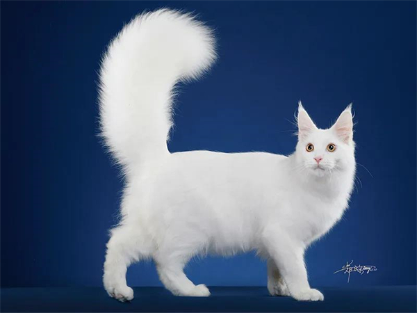 首页- 南宫NG28集团娱乐官方网站