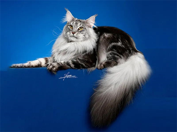 首页- 南宫NG28集团娱乐官方网站