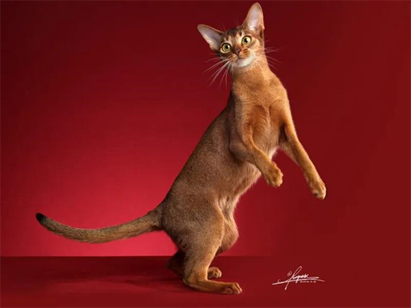 首页- 南宫NG28集团娱乐官方网站