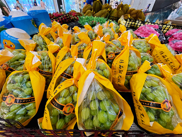 首页- 南宫NG28集团娱乐官方网站