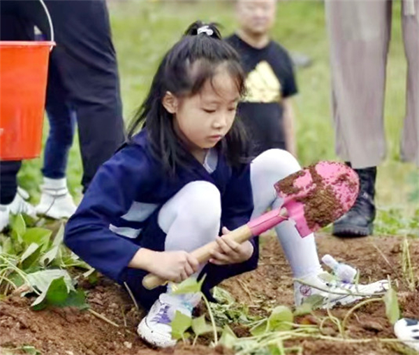 首页- 南宫NG28集团娱乐官方网站