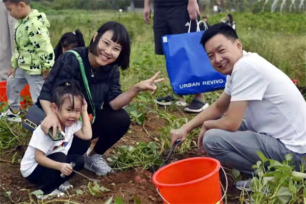 首页- 南宫NG28集团娱乐官方网站