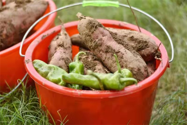 首页- 南宫NG28集团娱乐官方网站