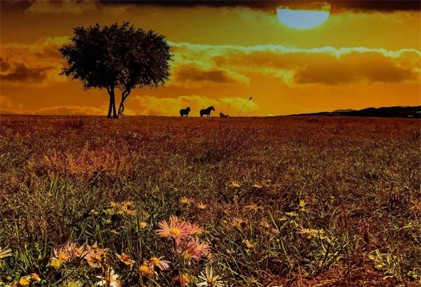 首页- 南宫NG28集团娱乐官方网站