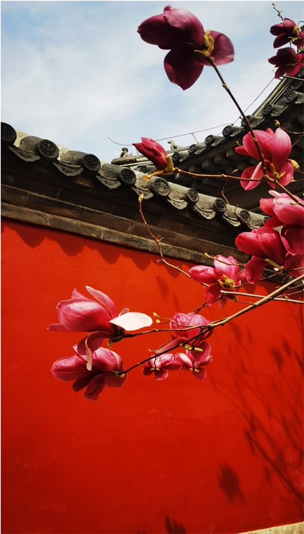 首页- 南宫NG28集团娱乐官方网站