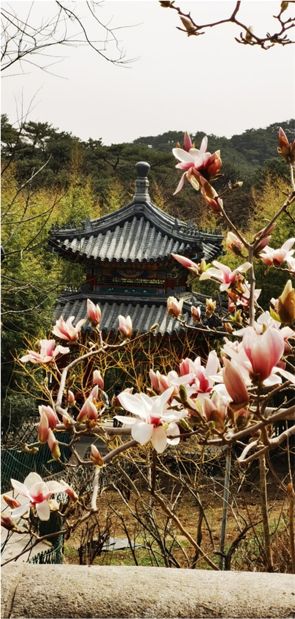 首页- 南宫NG28集团娱乐官方网站