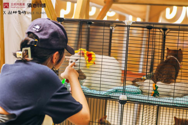 首页- 南宫NG28集团娱乐官方网站